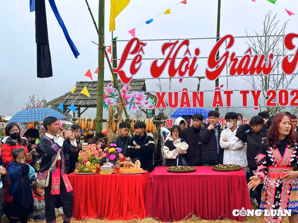 doc dao le hoi gau tao cua dong bao nguoi mong o thi xa sa pa hinh 5