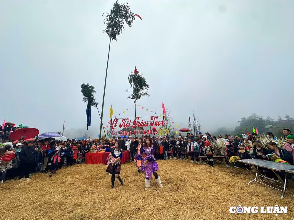 doc dao le hoi gau tao cua dong bao nguoi mong o thi xa sa pa hinh 3