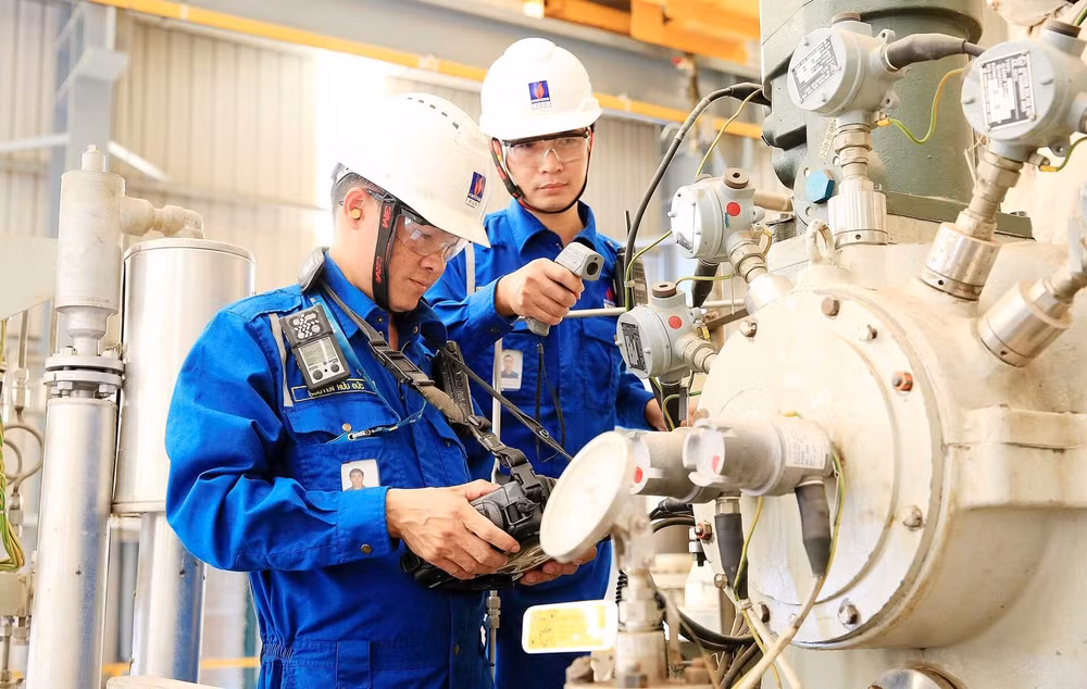 dang trong ky nguyen vuon minh cua dan toc hinh 4