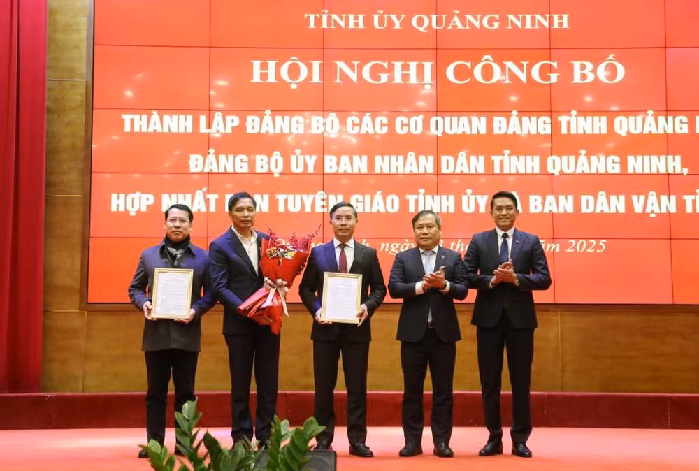 quang ninh thanh lap hop nhat cac dang bo don vi truc thuoc tinh uy hinh 2