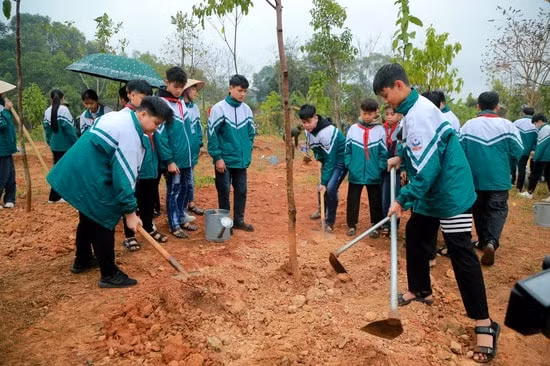 tet trong cay xuan at ty nam 2025 o phu tho phat huy truyen thong tot dep cua dan toc hinh 3