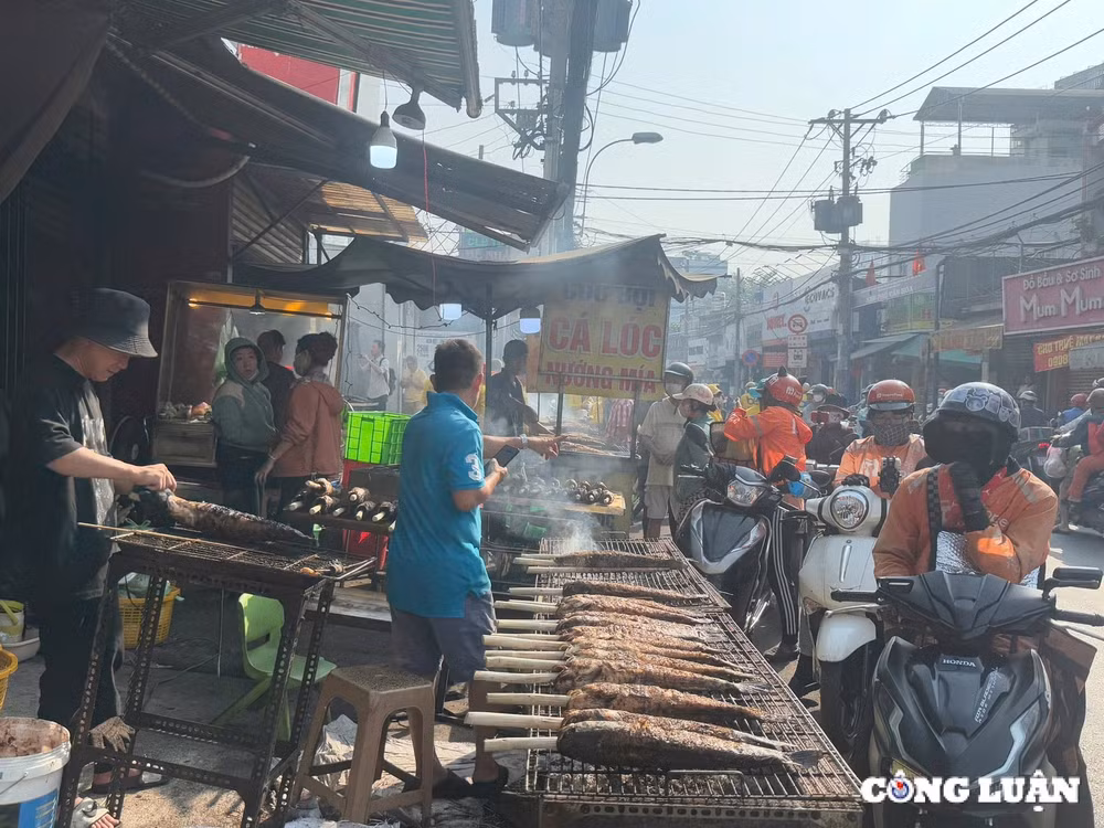 nguoi dan tp hcm xep hang di mua vang ca loc nuong ngay via than tai hinh 5