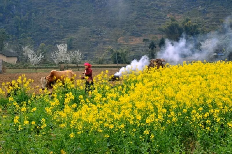 du lich ha giang thang 2 co gi dep hinh 1