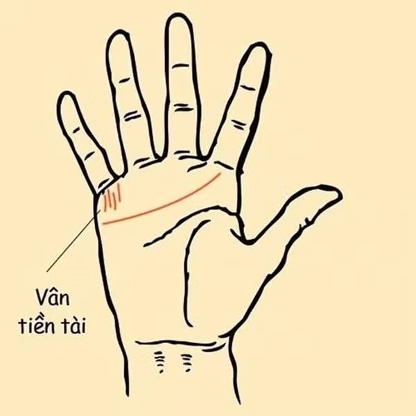 nhung duong chi tay mang lai su thanh cong cho phu nu hinh 1