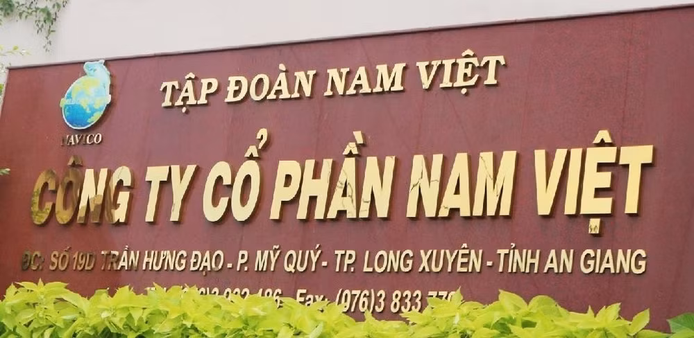 nam viet avn no vay tang 300 ty dong trong nua nam chot tra co tuc bang tien mat ty le 10 hinh 1