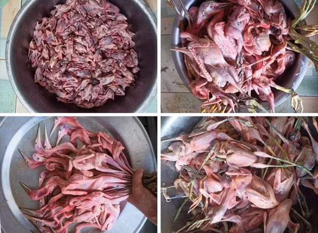 nhieu loai bay luoi tan diet chim troi duoc bay ban nhon nhip tren cho mang hinh 3