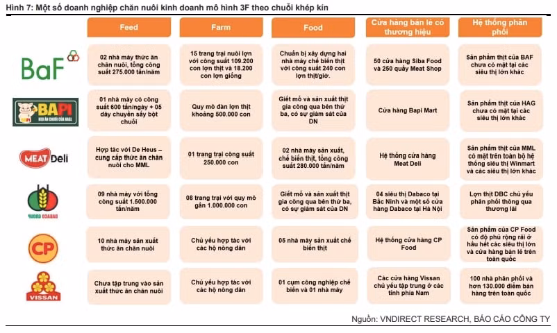 voi su gia nhap san pham heo an chuoi cua hagl cuoc dua thit lon sach 3f ngay mot gay can hinh 2