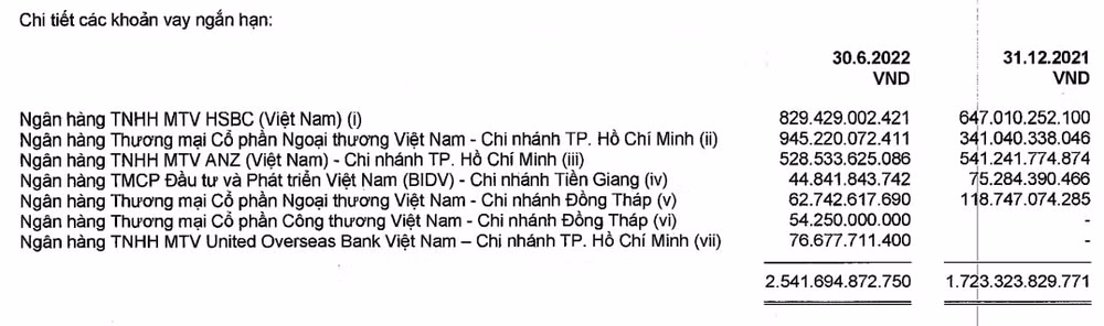 ctcp vinh hoan vhc vay no tang 812 ty trong nua nam gia co phieu giam san sau khi thay lanh dao hinh 2