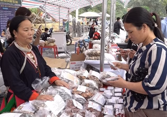 ha noi ban hanh ke hoach ve trien khai du an 8 thuoc chuong trinh mtqg vung dong bao dan toc thieu so hinh 1