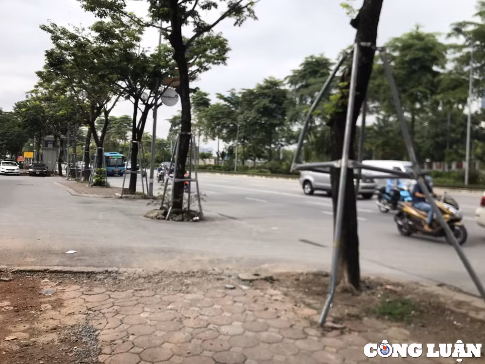 ha noi bat cap trong quan ly cham soc duy tri he thong cay xanh hinh 1