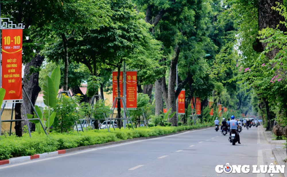pho phuong ha noi ruc ro sac mau chao mung ky niem 68 nam ngay giai phong thu do hinh 6