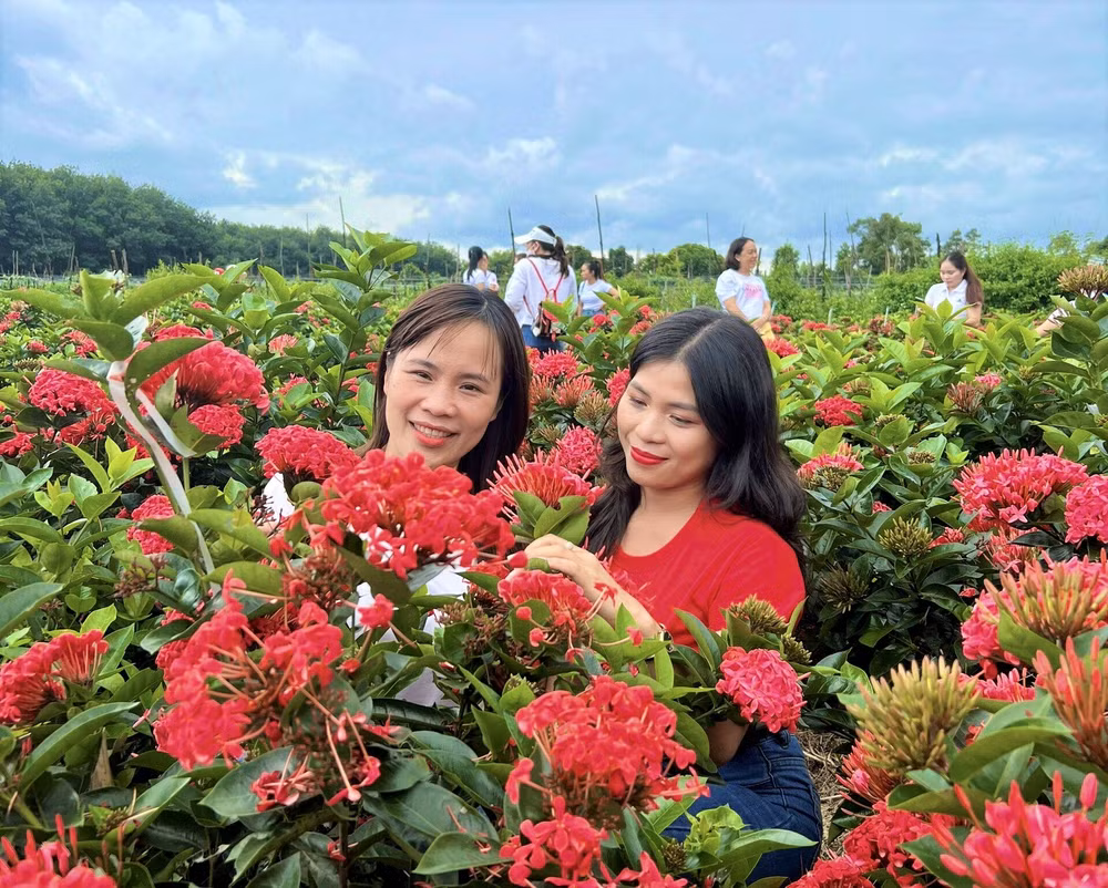 vuon hoa mau don ruc do thu hut khach check in cua pho chu tich xa hinh 4