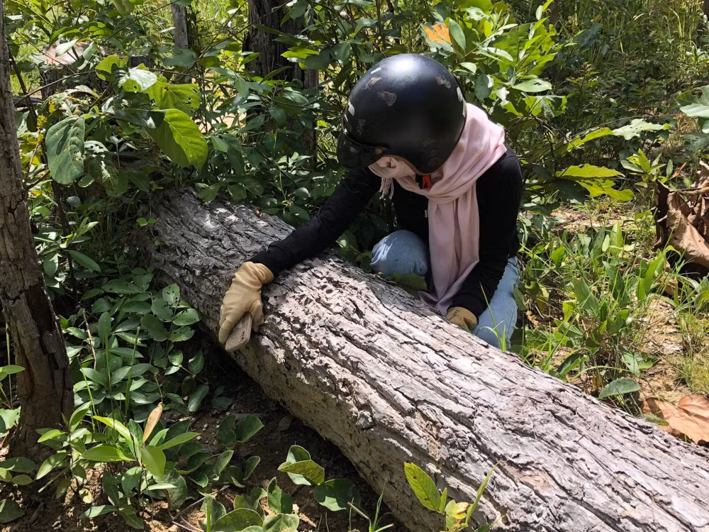 gia lai rung tu nhien lien tuc bi tan pha o kong chro hinh 5