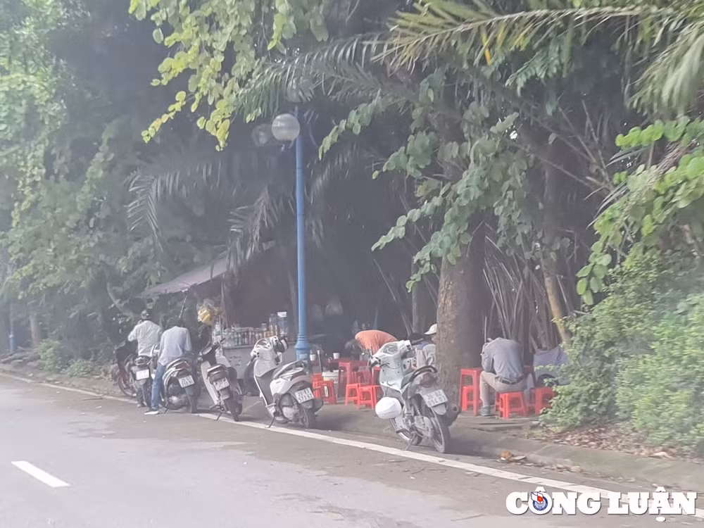 vi pham hanh lang an toan giao thong duong 379 khi nao duoc xu ly dut diem hinh 7