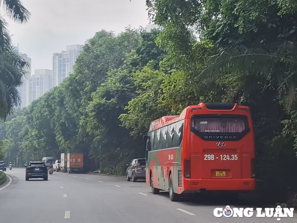 vi pham hanh lang an toan giao thong duong 379 khi nao duoc xu ly dut diem hinh 3