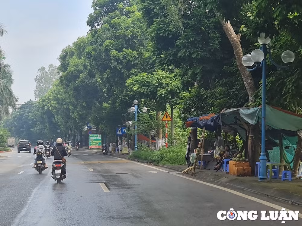 vi pham hanh lang an toan giao thong duong 379 khi nao duoc xu ly dut diem hinh 6