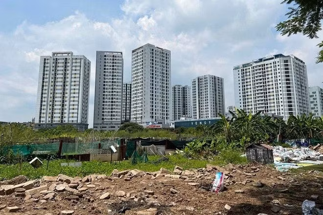 ha noi de nghi thu lai 07 lo dat bo hoang gan 20 nam de xay truong hoc hinh 1