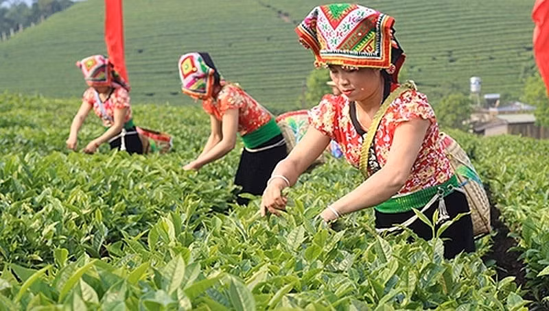tien do chuong trinh trien khai rat cham hinh 2