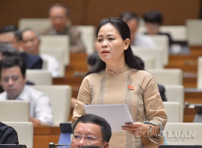 Đại biểu Nguyễn Thị Thu Dung (đoàn Thái Bình).