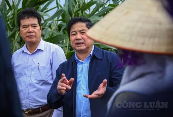 Thăm quan thực tế mô hình trồng ngô sinh khối tại xã Liên Châu, Thứ trưởng Bộ NN&PTNT Lê Quốc Doanh đánh giá cao hiệu quả mô hình trồng ngô sinh khối mang lại. Đồng thời nhấn mạnh, không chỉ cho hiệu quả kinh tế cao gấp 25% so với trồng ngô thông thường, ngô sinh khối có thể tận dụng diện tích, nhất là diện tích trong vụ đông, tránh tình trạng bỏ ruộng. Mô hình này rất phù hợp với định hướng thiết lập nền sản xuất sạch, sản xuất hữu cơ bởi cây ngô dùng làm thức ăn cho gia súc sẽ tạo ra những sản phẩm an toàn, chất lượng tốt cung cấp cho thị trường.