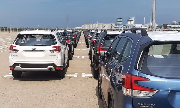 Nếu bãi bỏ thủ tục xác nhận tờ khai nguồn gốc, cơ quan Hải quan sẽ tiết kiệm được hàng trăm nghìn giờ công mỗi năm