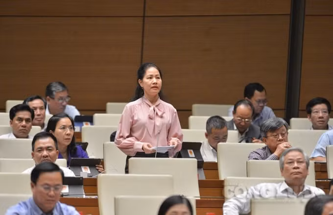 Đại biểu Phan Thị Bình Thuận (đoàn TP Hồ Chí Minh).