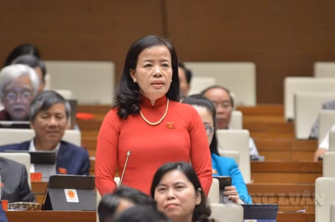 Đại biểu Nguyễn Thị Kim Thúy (đoàn Đà Nẵng).