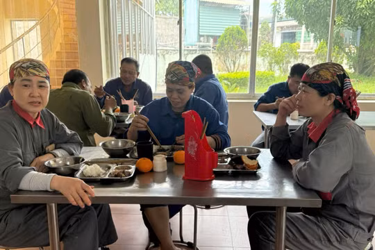 Bữa ăn ca tự chọn đậm chất chất dinh dưỡng, ngon và sạch tại Niferco 