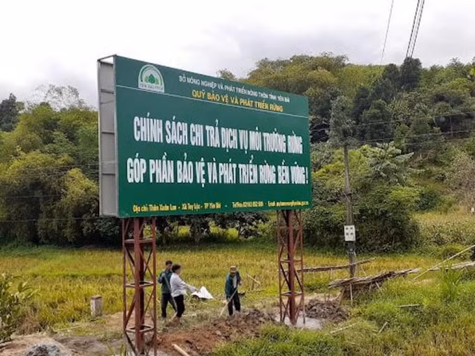 yen bai ky luat canh cao 6 can bo dang vien vi pham chi tra dich vu moi truong rung hinh 1