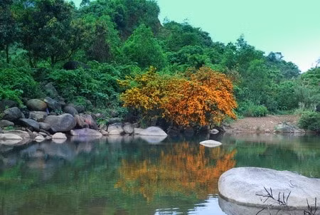 nhung con suoi dep nhat o viet nam chi ngam da me hinh 10