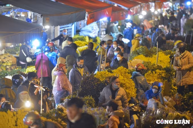 ha noi hoa cung ram nhon nhip khach hoa tinh yeu vang ve hinh 9