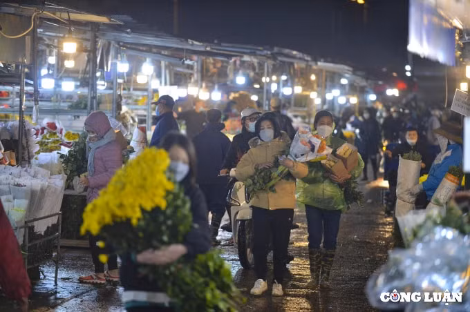 ha noi hoa cung ram nhon nhip khach hoa tinh yeu vang ve hinh 7