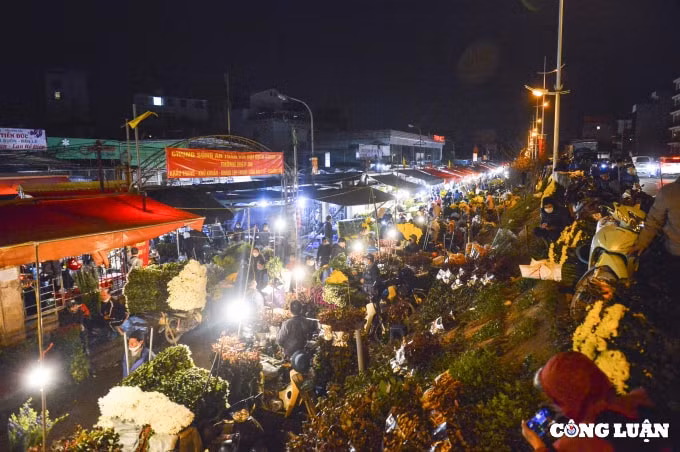 ha noi hoa cung ram nhon nhip khach hoa tinh yeu vang ve hinh 8