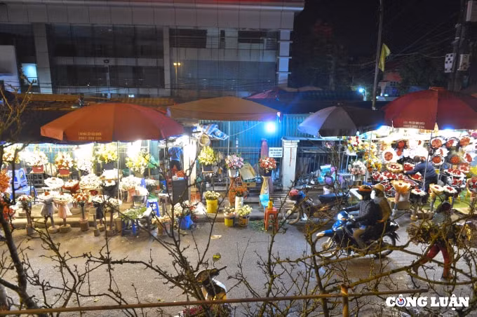 ha noi hoa cung ram nhon nhip khach hoa tinh yeu vang ve hinh 5