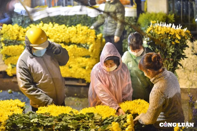 ha noi hoa cung ram nhon nhip khach hoa tinh yeu vang ve hinh 10