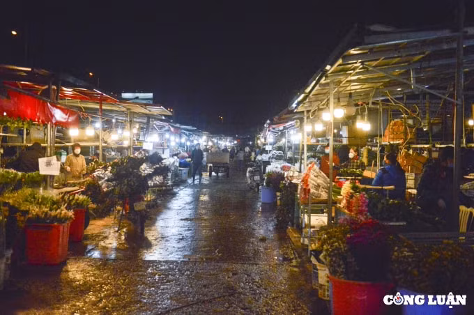 ha noi hoa cung ram nhon nhip khach hoa tinh yeu vang ve hinh 1