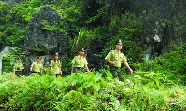 nang cao nang luc quan ly bao ve rung cho luc luong kiem lam hinh 1