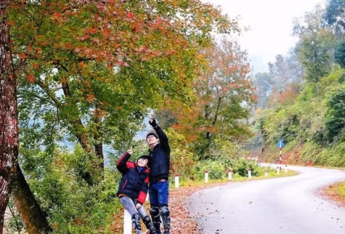 nhung khu rung nguyen sinh dep me man tai viet nam hinh 10