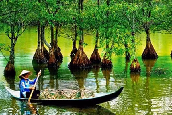 nhung khu rung nguyen sinh dep me man tai viet nam hinh 7