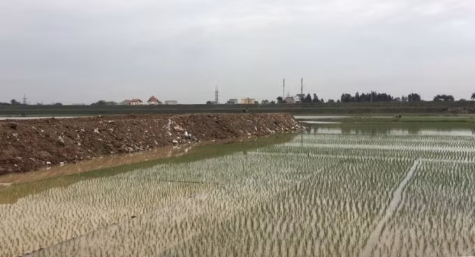 Sau cơn mưa to chiều ngày 3/3 xuất hiện nhiều đám khói trắng có mùi khét bốc lên từ con đường mới đổ chất thải giữa cánh đồng thôn Hải Bối - Ảnh Hà Long.