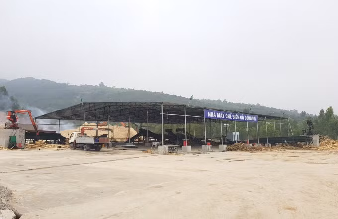 Cấp phép một đằng, Công ty TNHH Phát triển Đông Hồi làm một nẻo