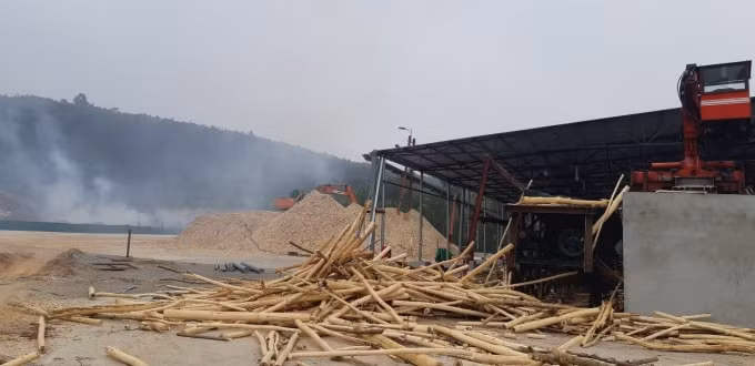 Nhà máy có một xưởng băm dăm với 3 máy phay dăm chạy rầm rầm suốt ngày