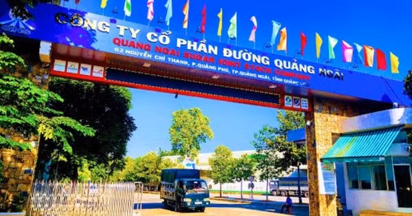 duong quang ngai qns vua bi thanh tra ve thue nay lai ha ke hoach lai xuong thap ky luc hinh 1