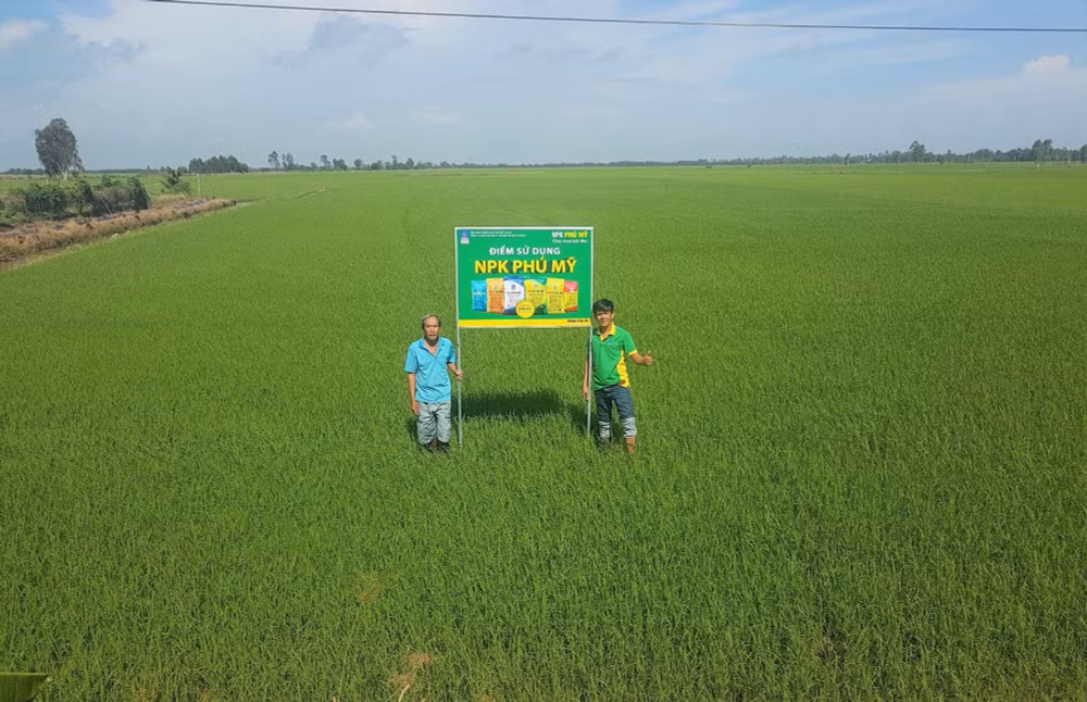 pvfcco 20 nam lien tiep duoc ton vinh hang viet nam chat luong cao hinh 2
