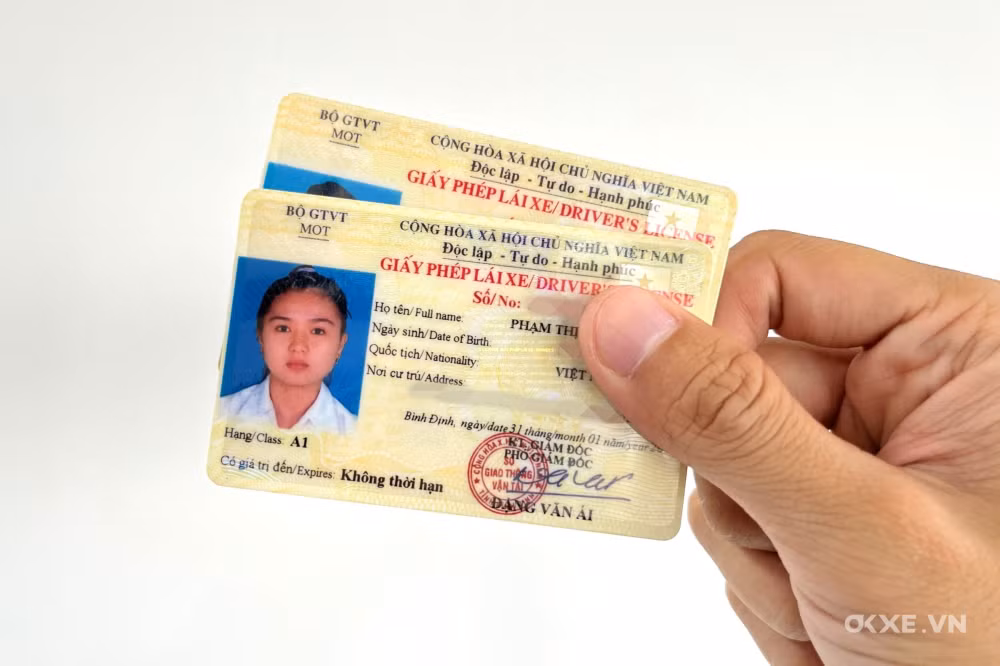 lao cai lam ro vu 77 nguoi duoc xac nhan khong biet viet biet doc tieng viet de thi lay bang xe may hinh 2