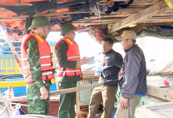 bat giu 8 tau gia cao khai thac tan diet hai san o ha tinh hinh 2
