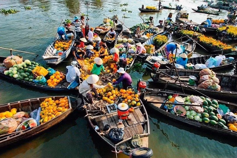 viet nam so huu 2 tuyen du lich bang thuyen dep nhat dong nam a hinh 3