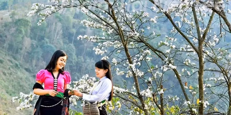tinh dien bien dieu chinh thoi gian khai mac le hoi hoa ban 2023 hinh 3