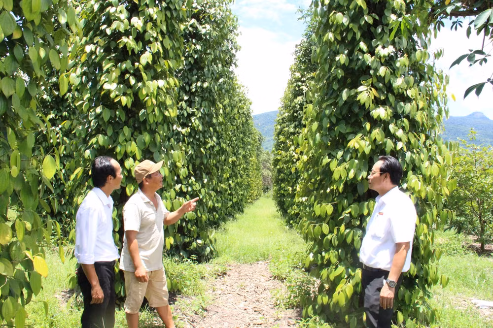 agribank 35 nam kien dinh vi su menh tam nong hinh 3
