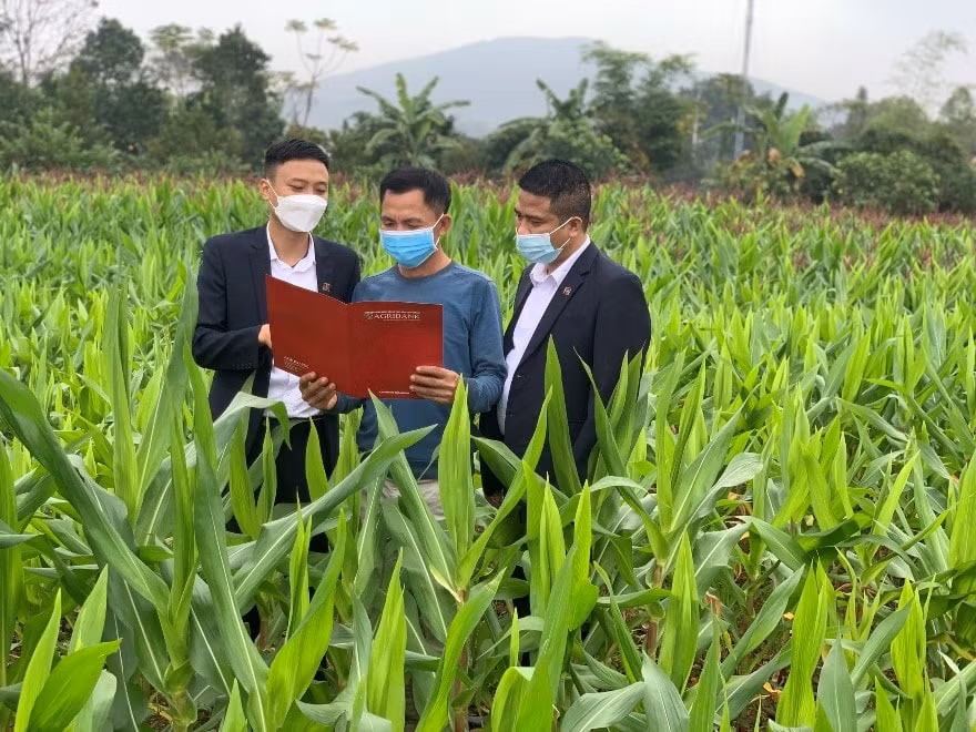 agribank 35 nam kien dinh vi su menh tam nong hinh 1